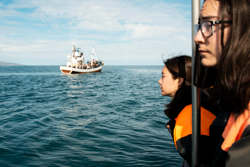 perizie nautiche,perito,controlli non distruttivi,perito nautico